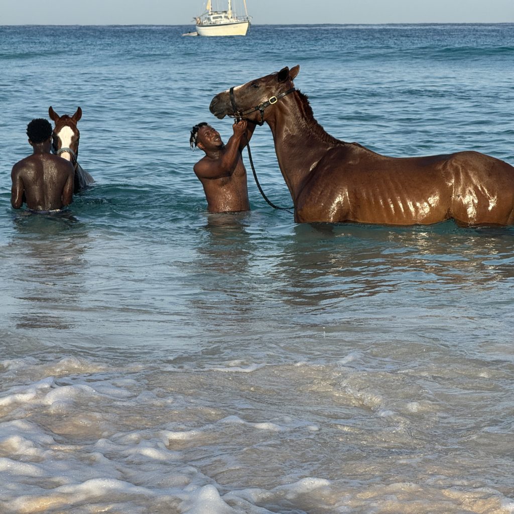 two men in the ocean with two horses giving them a bath